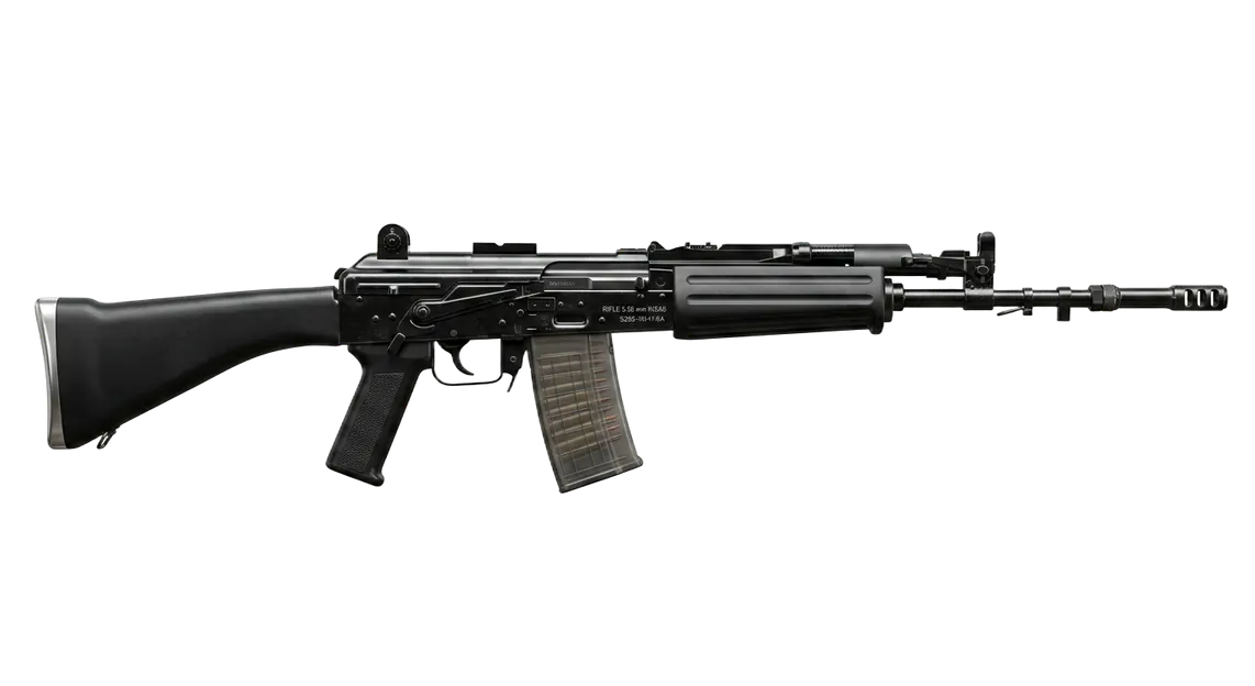 INSAS