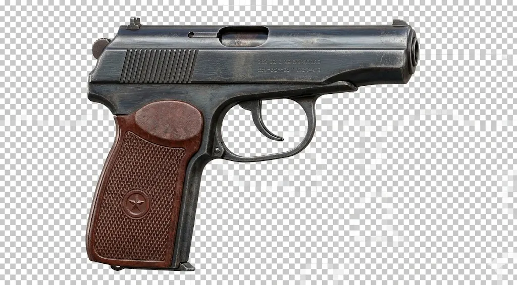 Makarov PM