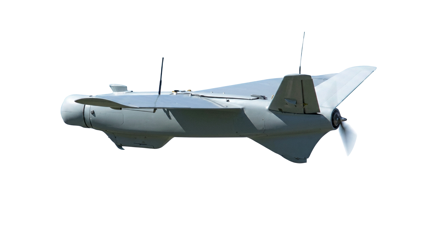 RAM-2X