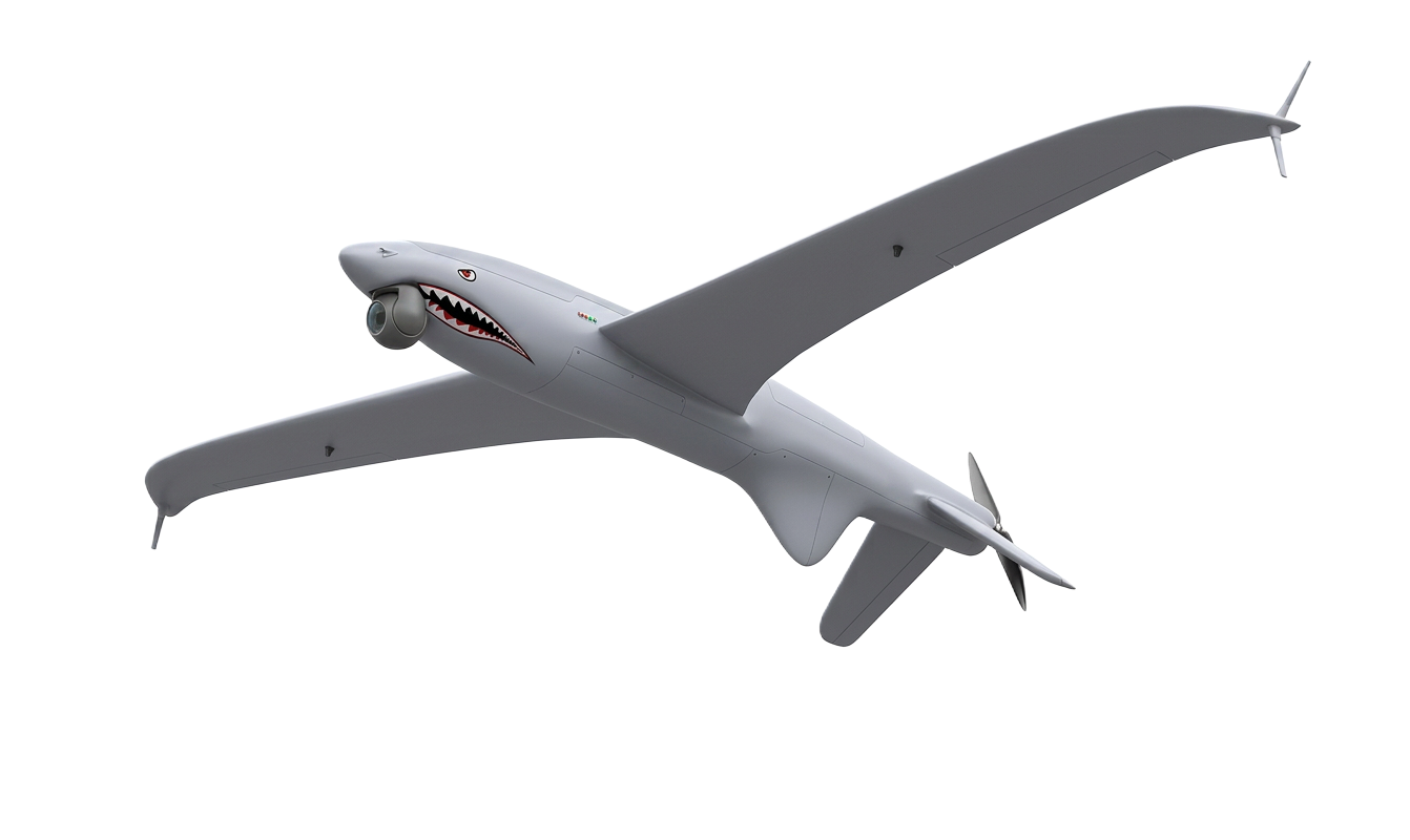 Shark
