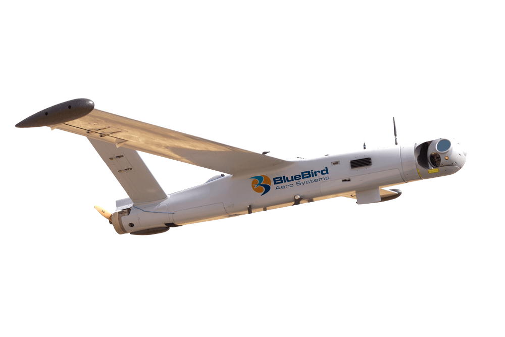BlueBird ThunderB