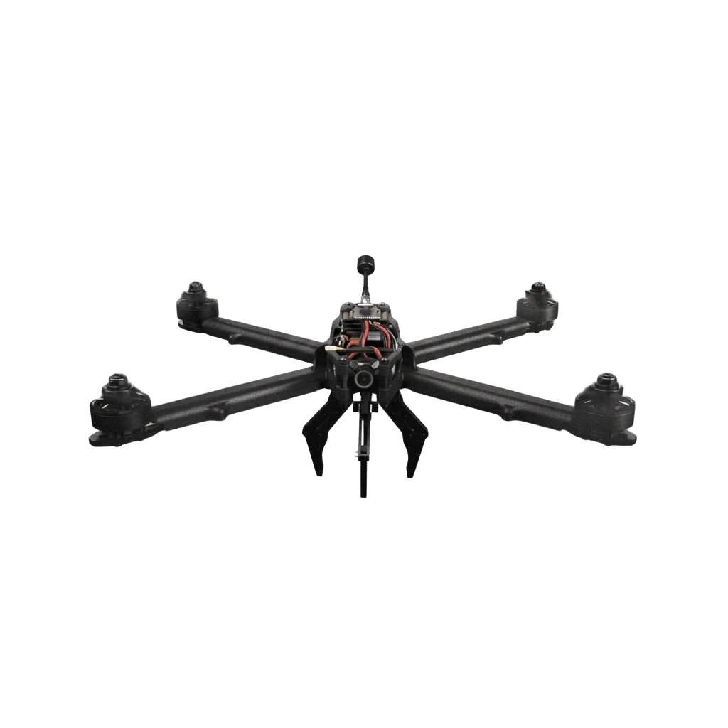 XTEND Lanius